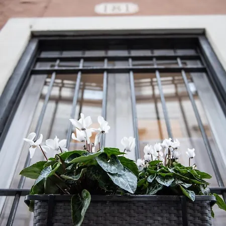 Sweet Arco Farnese Apartamento Roma