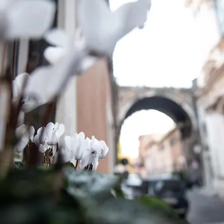 Sweet Arco Farnese